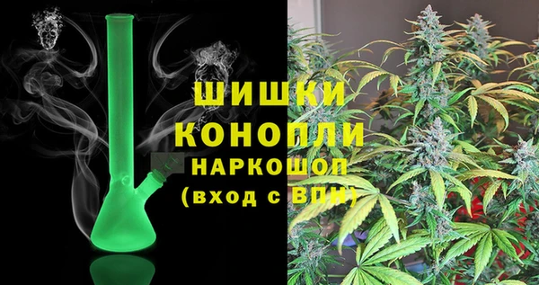 PSILOCYBIN Белокуриха